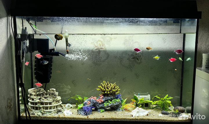 Аквариум с рыбками