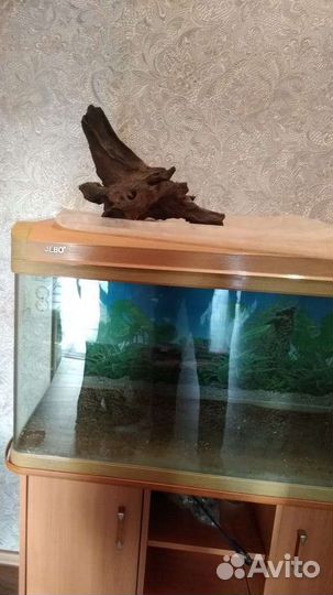 Аксесуары для аквариума