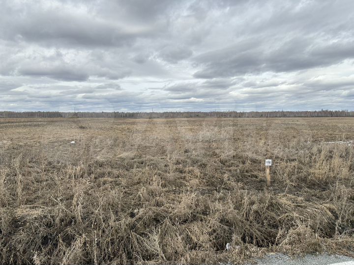 Участок 8 сот. (ИЖС)