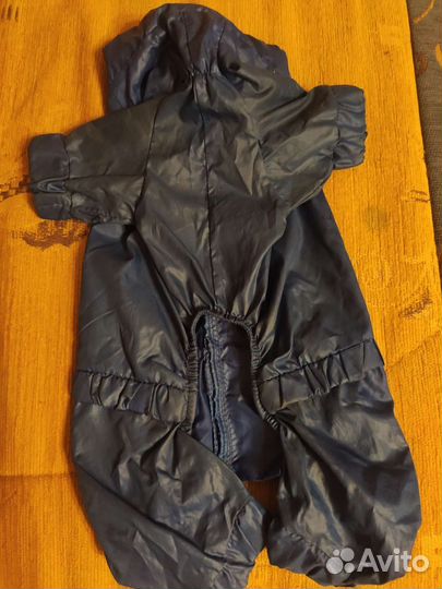 Дождевик для маленькой собаки