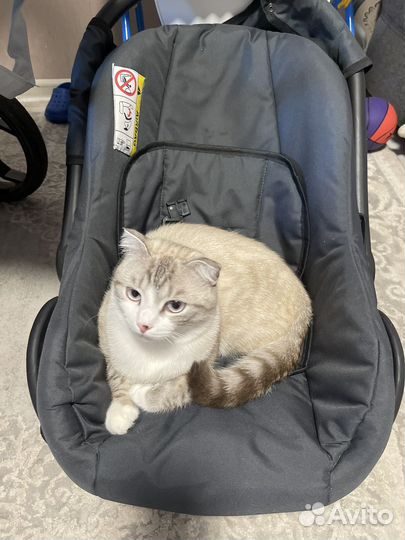 Коляска 3 в 1 мах