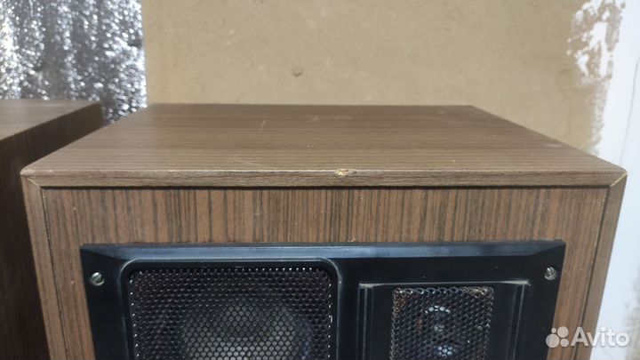 Колонки Электроника 150ас002-s90