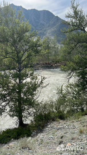 Клининговая компания