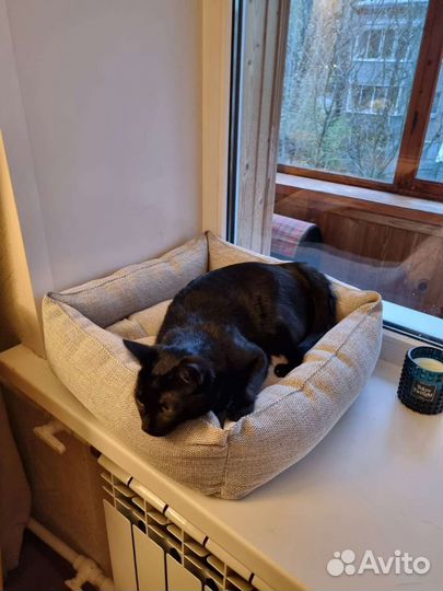Лежак для собаки или кошки 50 х 50 см новый