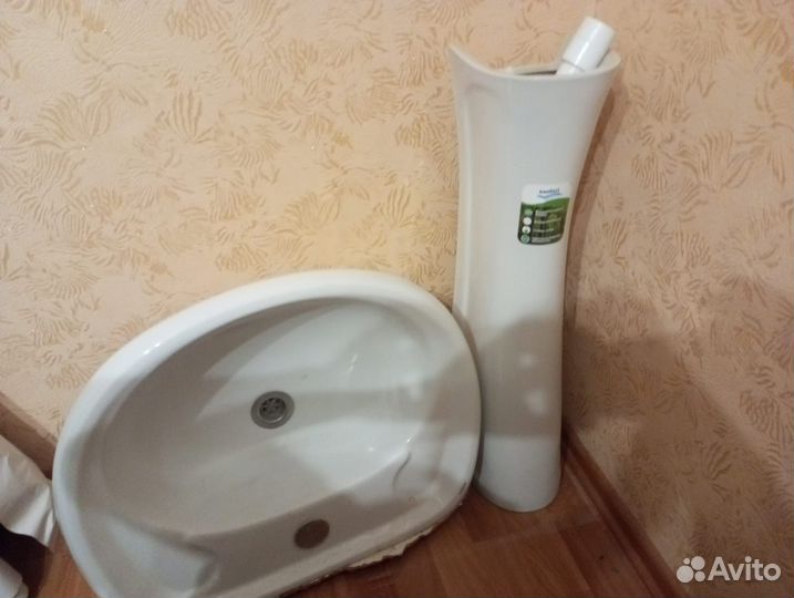 Раковина тюльпан