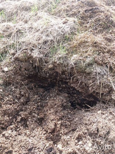 Продается навоз