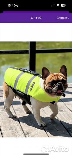 Спасательный жилет для собак s