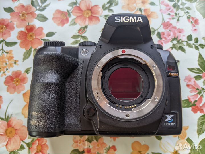 Sigma SD14, 24-70 3.5-5.6, 70-300 4-5.6, вспышка