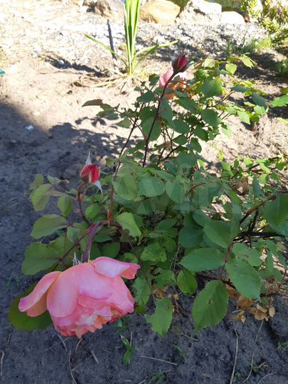 Дача 140 м² на участке 25 сот.