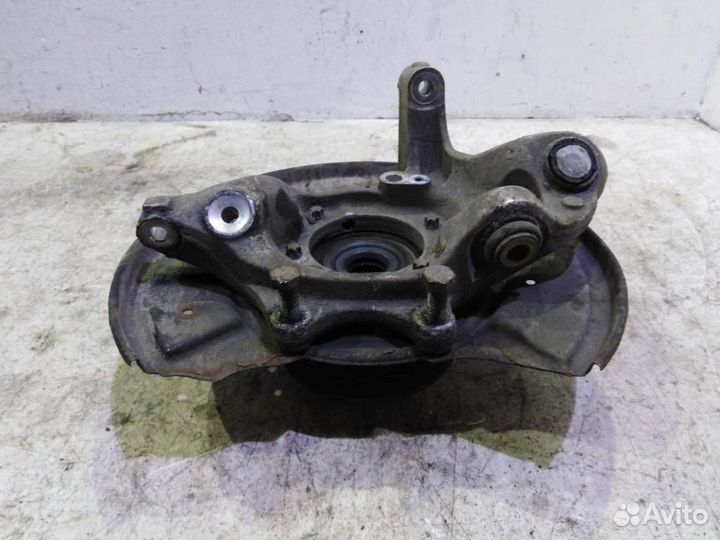 Кулак задний левый