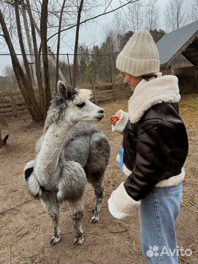 Дубленка женская демисезонная