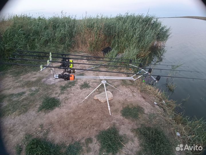 Карповый набор