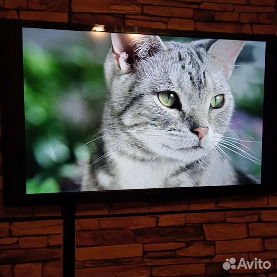 Жк-телевизор Philips (40 дюймов)