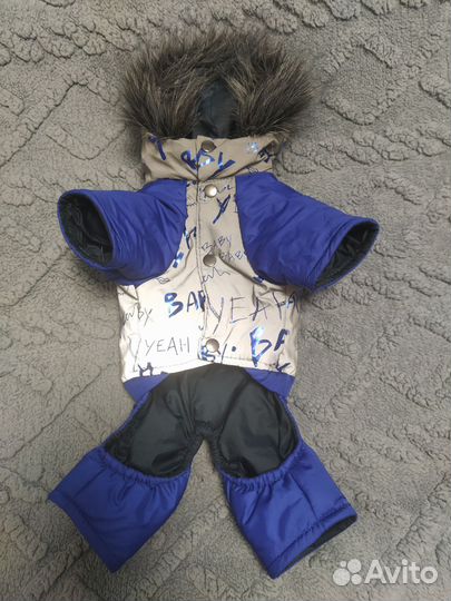 Одежда для маленькой собачки