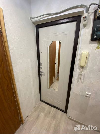 Входные двери в квартиру и частный дом