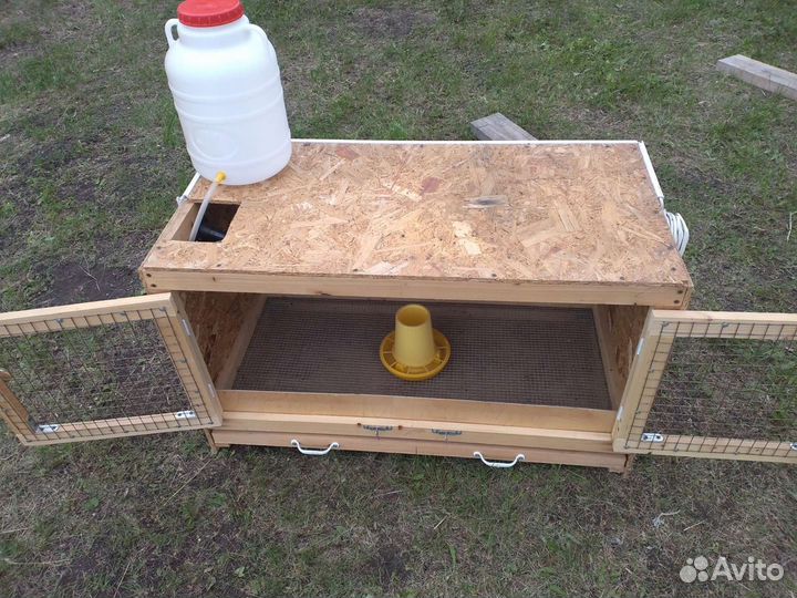 Брудер для цыплят