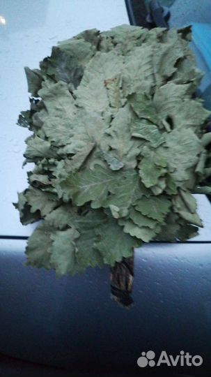 Веники для бани