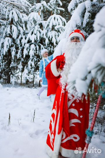Праздники, Аниматоры, Ростовые