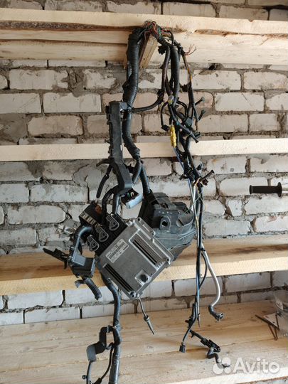 Эбу Рено Колеос