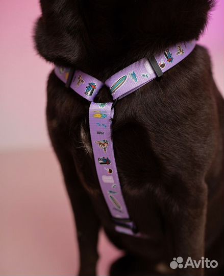 Анатомическая шлейка для собак