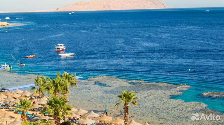 Тур поездка в Египет, Шарм-Эш-Шейх от 1-го чел