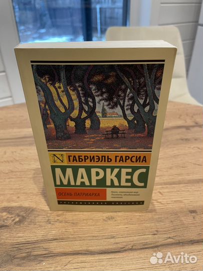 Книга Осень патриарха
