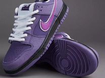 Nike SB dunk low purple