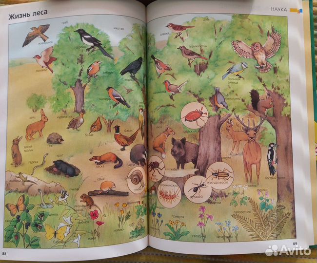 Детская энциклопедия