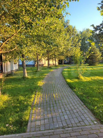 Дача 29 м² на участке 10 сот.