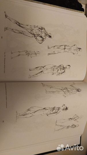 Основа академического рисунка