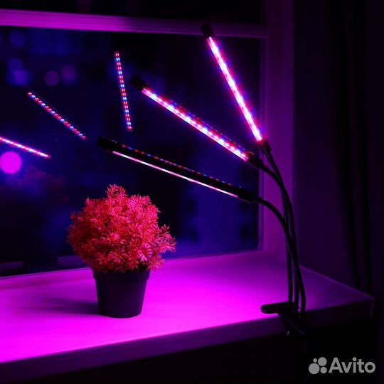 Фитолампа тройная светодиодная лампа для растений