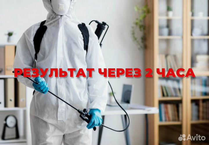 Дезинфекция дезинсекция дератизация