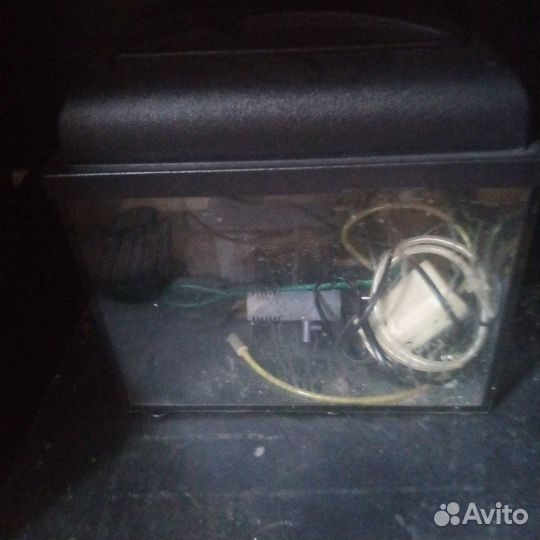 Аквариум