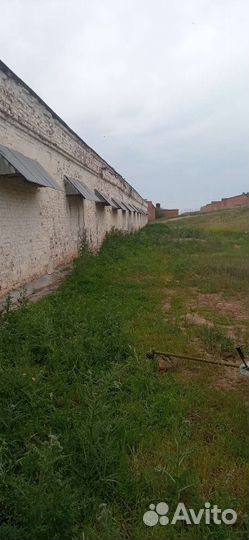 Покос травы, камыша