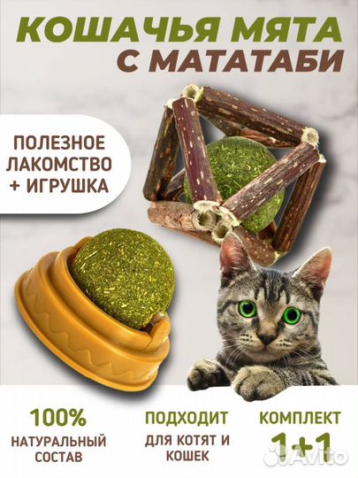 Кошачья мята