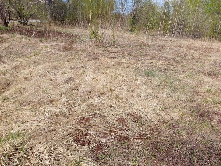 Участок 15 сот. (ИЖС)