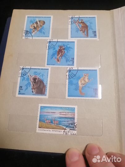 Коллекция советских марок в альбоме