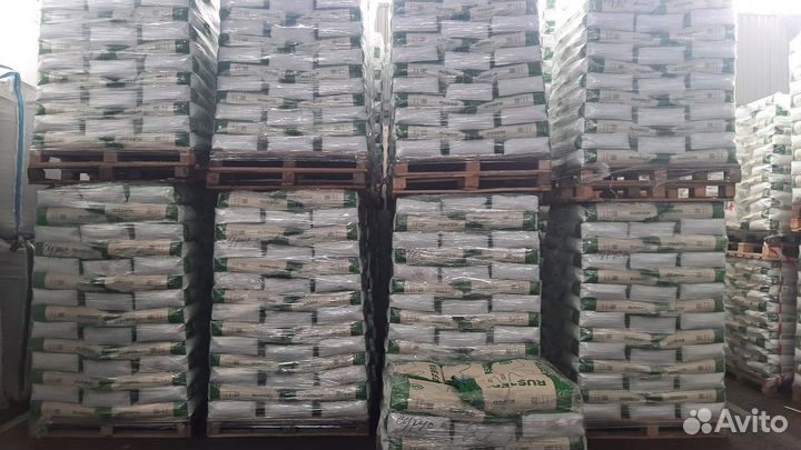 Семена подсолнечника гибрид Спринт