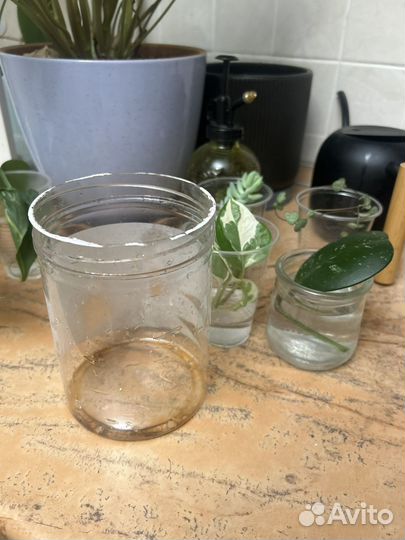 Транспортировочный горшок для растений