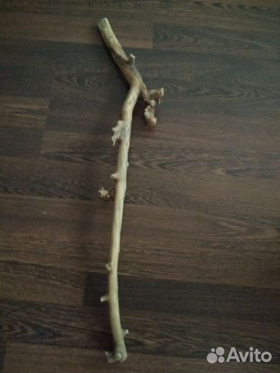 Коряги дрифтвуд