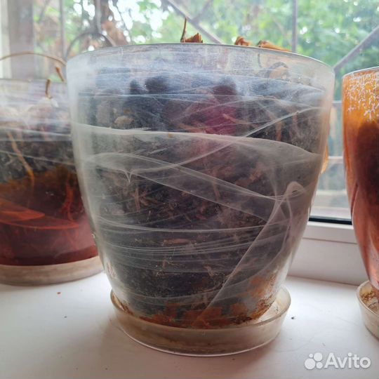 Кашпо, горшки для орхидеи 15 шт