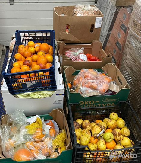 Продукция на корм животным