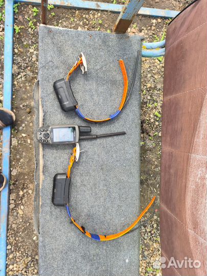 Навигатор garmin Astro 220 с ошейником