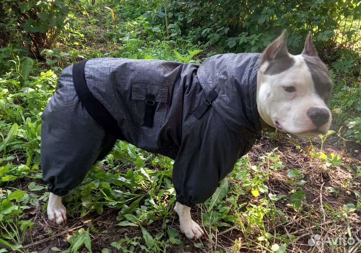 Одежда для собак, комбинезон
