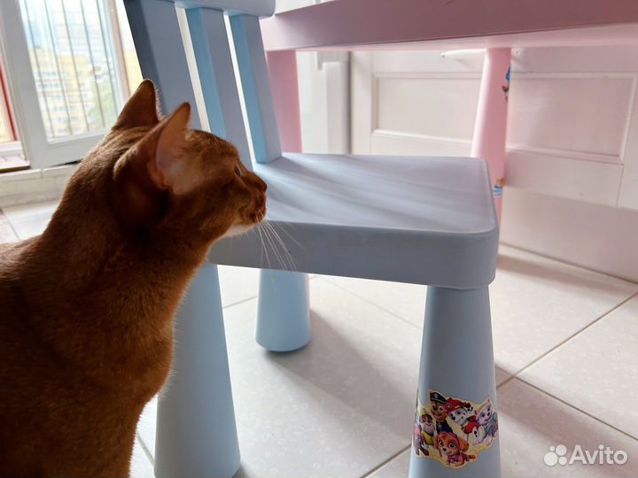 Стол и стул маммут