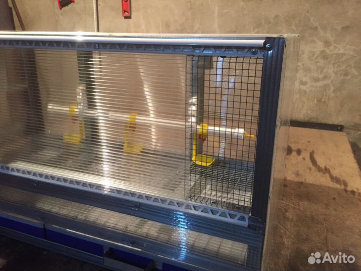 Брудер для циплят