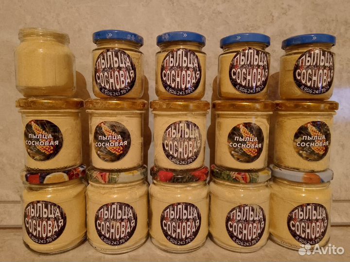 Пыльца сосны сбор 2024