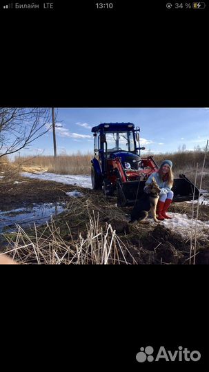 Передержка домашних животных