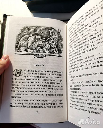 Коты воители миссия огне звезда Искупление