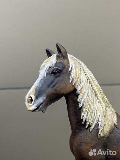 Кастом кобыла